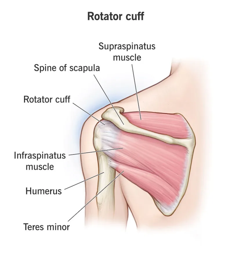 bnj-rotator-cuff